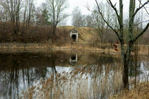 IMG_2001.jpg