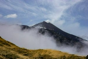 IMG_9482.jpg