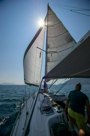 IMG_3545.jpg