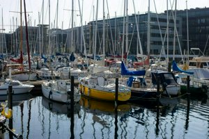 IMG_7869.jpg