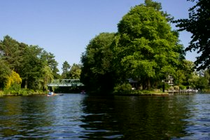 IMG_9728.jpg