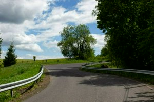 IMG_8974.jpg