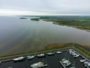 DJI_0313.jpg