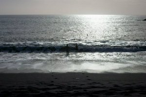 IMG_3550.jpg