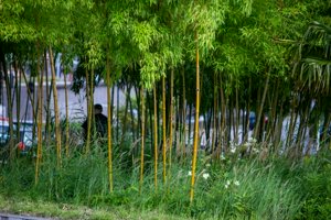 IMG_6443.jpg