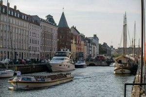 IMG_7980.jpg