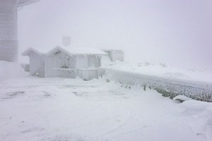 IMG_2705.jpg