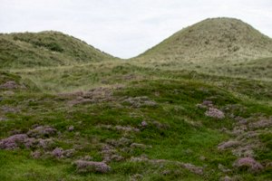 IMG_9872.jpg