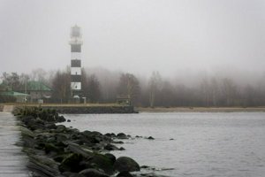 IMG_2219.jpg