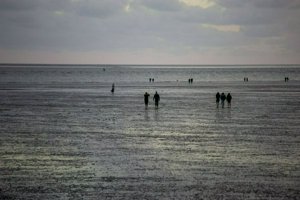 IMG_6990.jpg