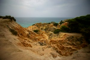 IMG_6753.jpg