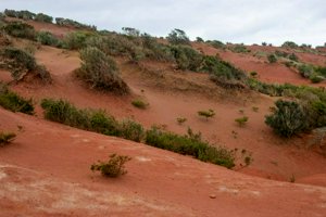 IMG_2946.jpg