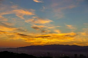 IMG_8850-Enhanced-NR.jpg