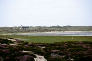 IMG_9856.jpg