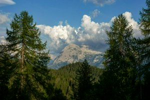 IMG_6433.jpg
