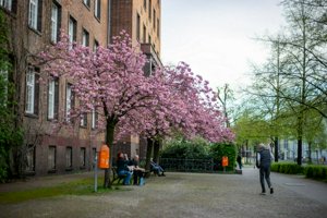 IMG_8394.jpg