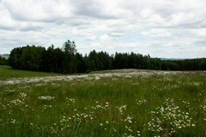 IMG_9043-Улучшено-NR.jpg