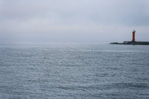 IMG_2169.jpg