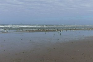 IMG_6026.jpg