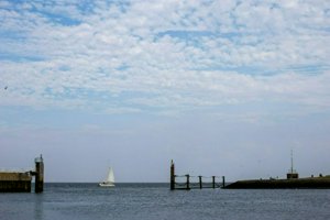 IMG_6581.jpg