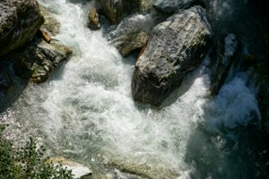 IMG_5532.jpg