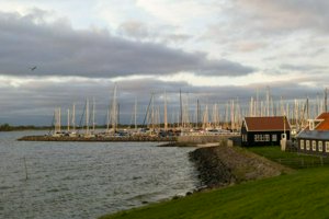 IMG_2459.jpg