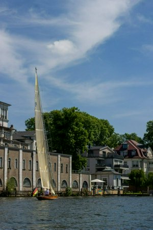 IMG_7598.jpg
