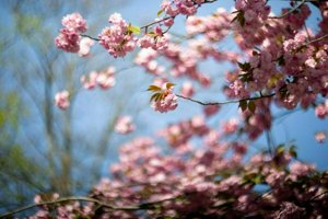 IMG_8341.jpg