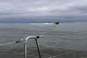 IMG_2046.jpg