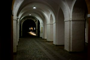 IMG_7790-Улучшено-NR.jpg