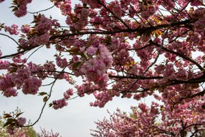 IMG_5742.jpg