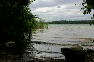 IMG_6204.jpg