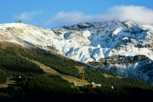IMG_1285.jpg