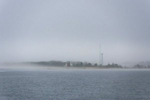 IMG_2181.jpg