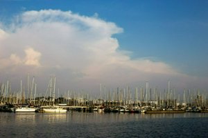 IMG_8315.jpg