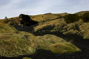 IMG_9338.jpg