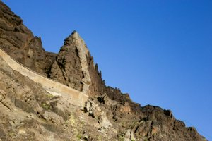 IMG_3014.jpg