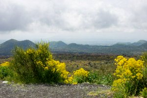 IMG_9273.jpg