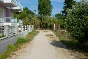 IMG_3329.jpg