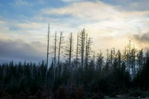 IMG_1473.jpg