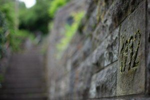 IMG_1138.jpg