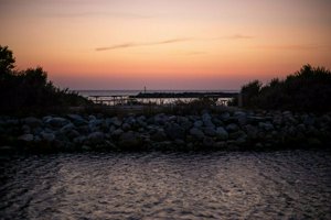 IMG_8765.jpg
