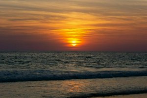 IMG_5922.jpg