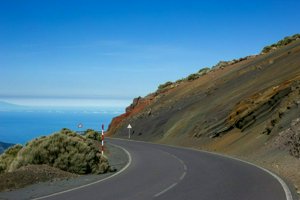IMG_6541.jpg