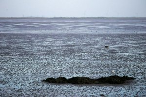 IMG_6840.jpg
