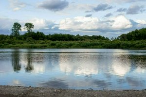 IMG_5674.jpg