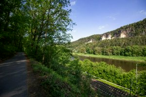 IMG_1469.jpg
