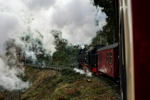 IMG_1124.jpg