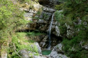 IMG_6697.jpg