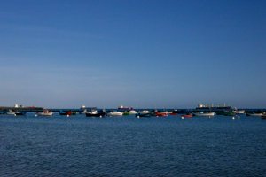 IMG_6220.jpg